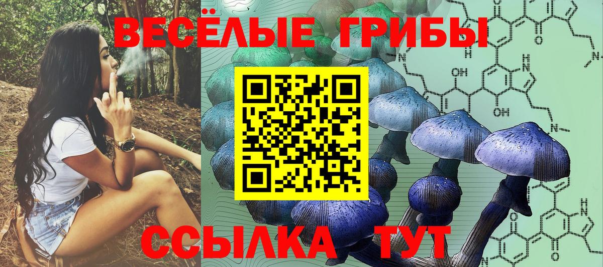 Галлюциногенные грибы прущие грибы  Вход с VPN  Кимовск 
